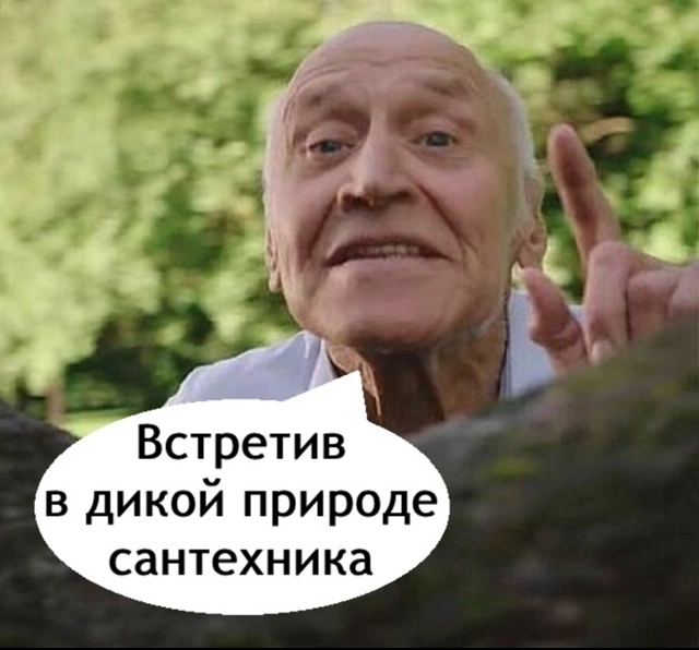   ,  , 