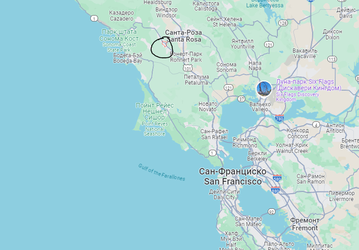 �����������. ����������.