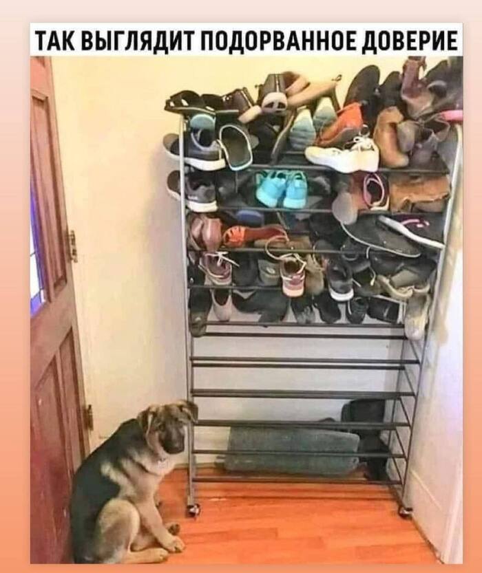 Подорванное доверие