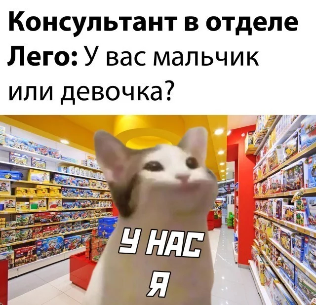 aiaflsju.jpg