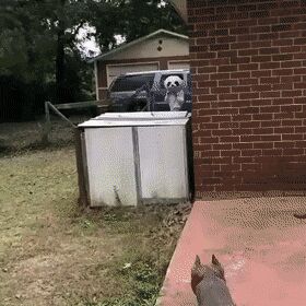  , , , 