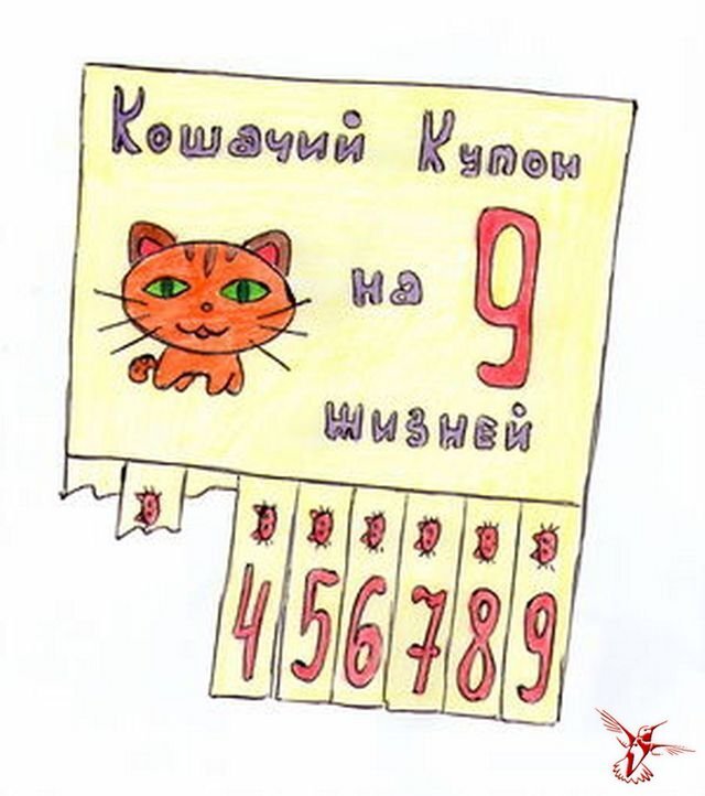    , , , ,  , , 