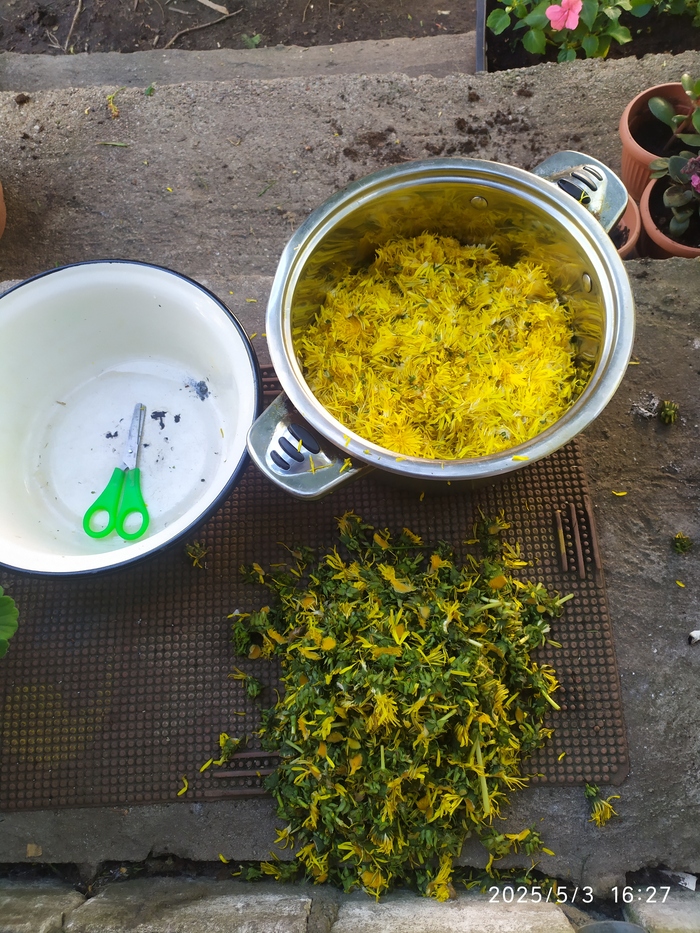 ���������� � �������