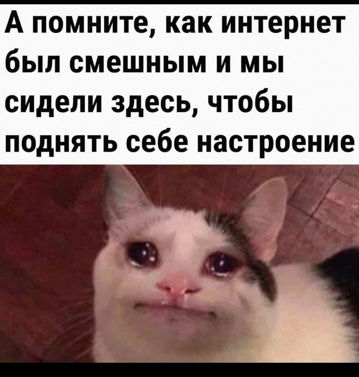    ... , ,   ,  , , , 