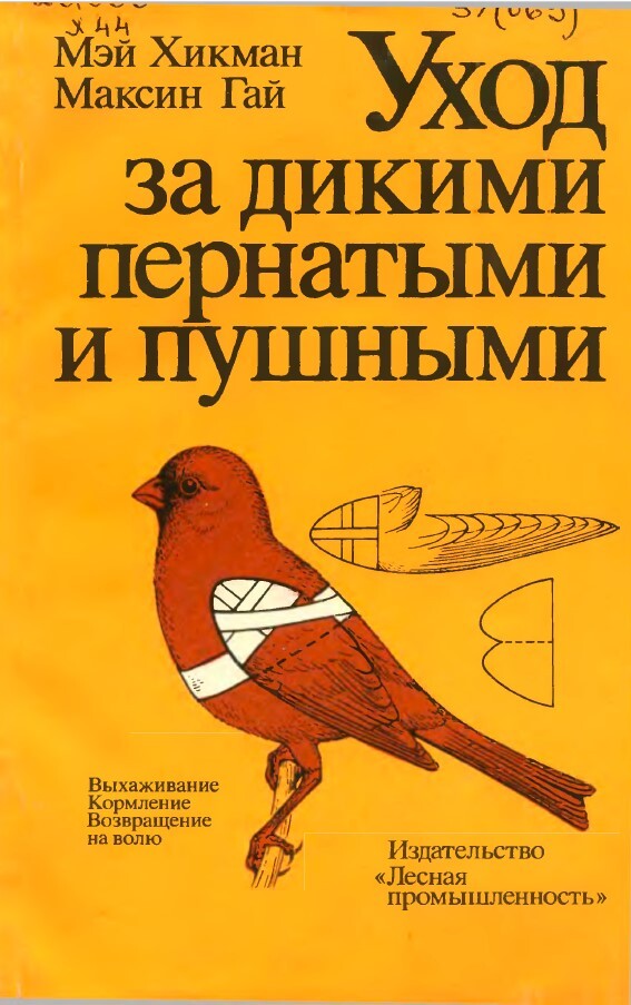       .  ? , , , , , , ,   , ,  