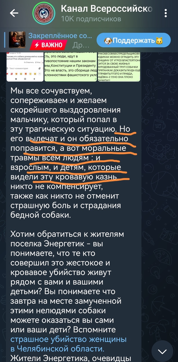 ""      ,  ,  ,  ,  , , Telegram (), 