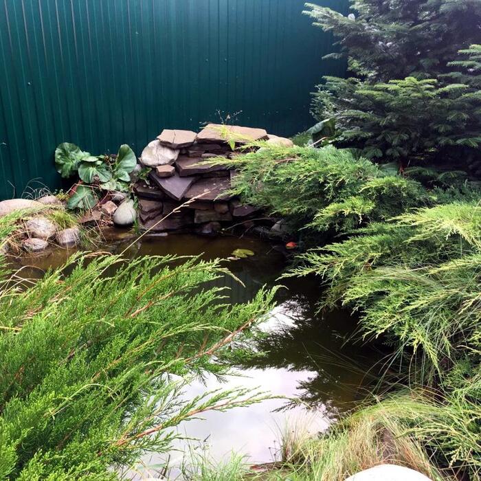 ��� ������. ���� ����� 1 � �������.