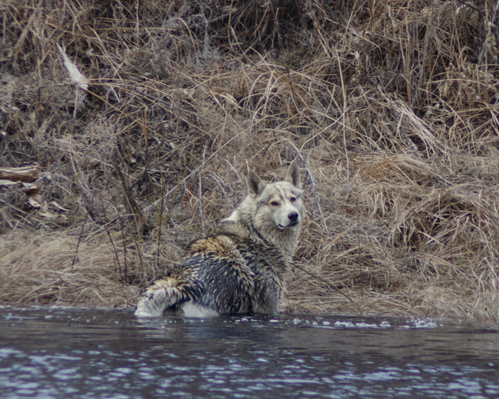 Посмотрел, плывём мы или нет.Конечно нет