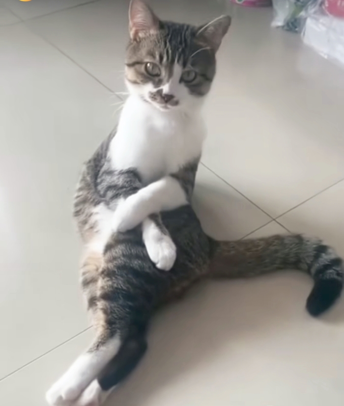         ? ,  , , ,  , , , ,  , ,  