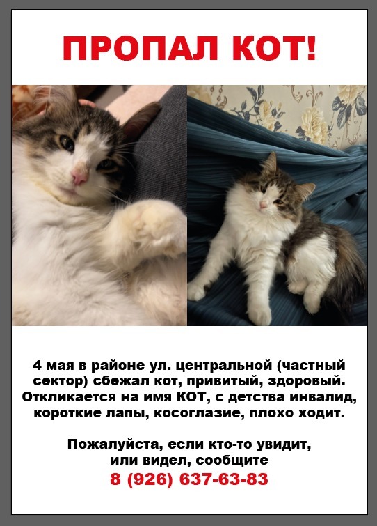 .!  !  , ,   , ,  ,  , ,  ,  , , ,  , 
