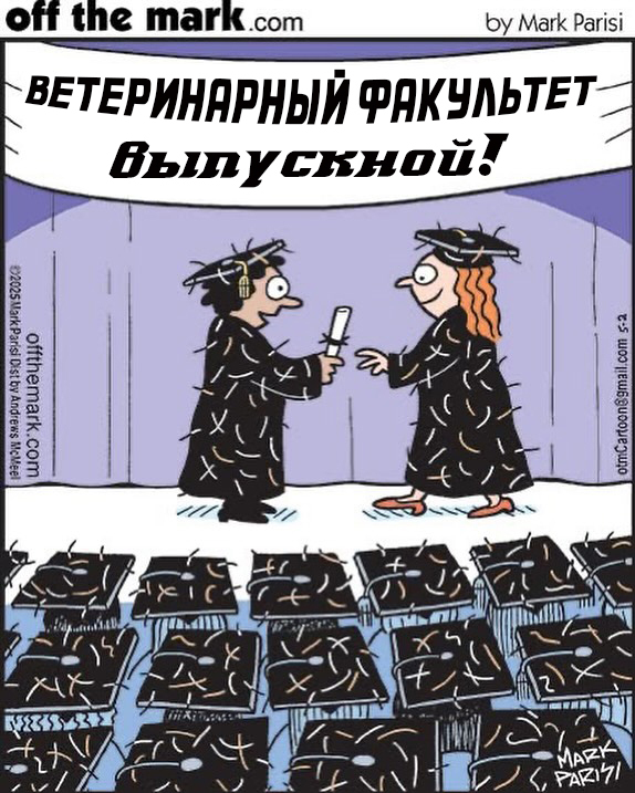 Выпускной