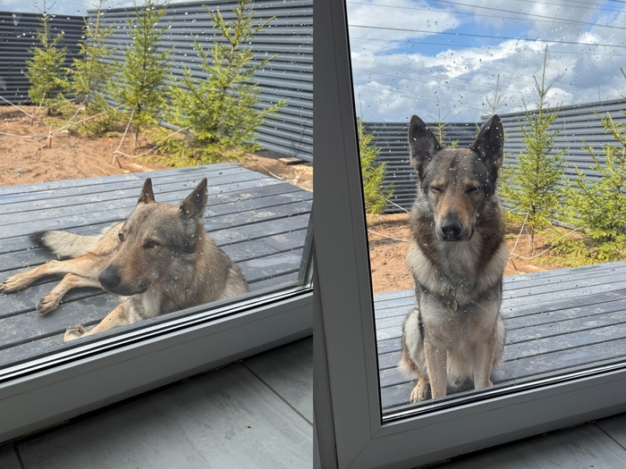 Когда все дома, а он на улице.