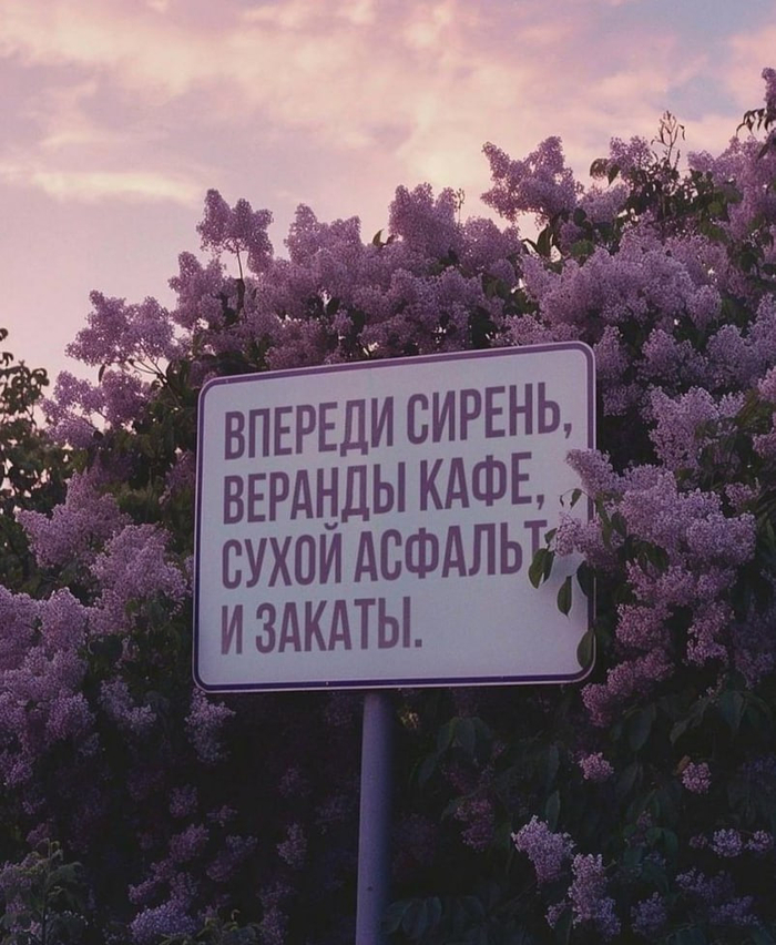      ...   , , , , Telegram ()