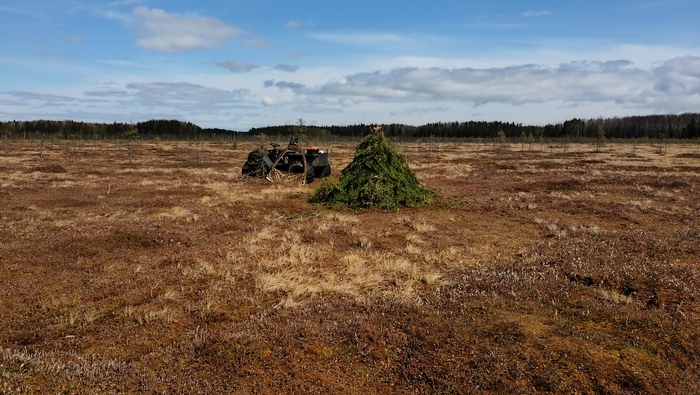 ���� ����