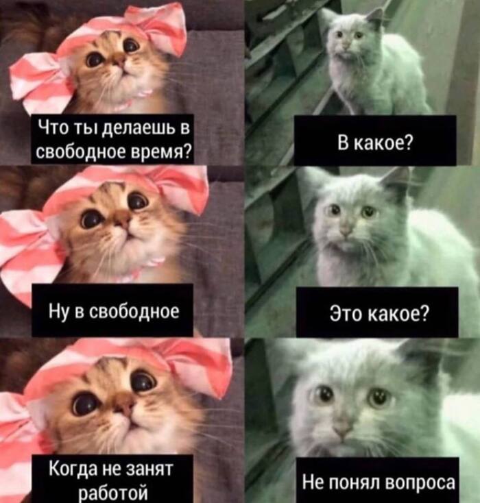 - ,   , , , ,  