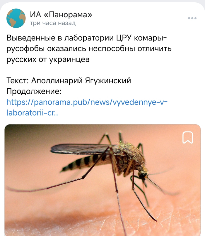 ������ �������