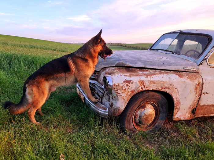 Помогите подтолкнуть!