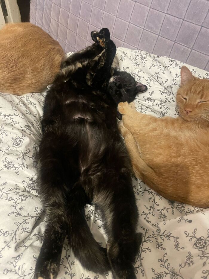 Спокойной ночи