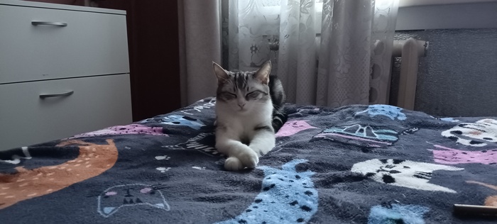   ,  , 