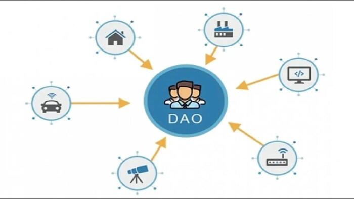   DAO   , ,   ,  , 