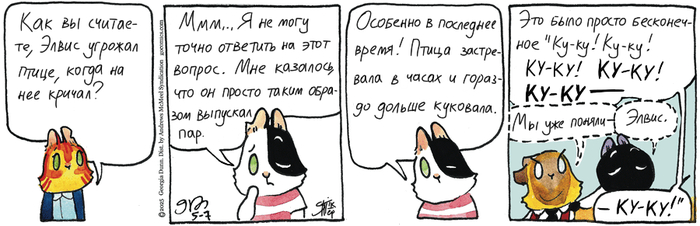 Котейкины Новости от 07.05.2025