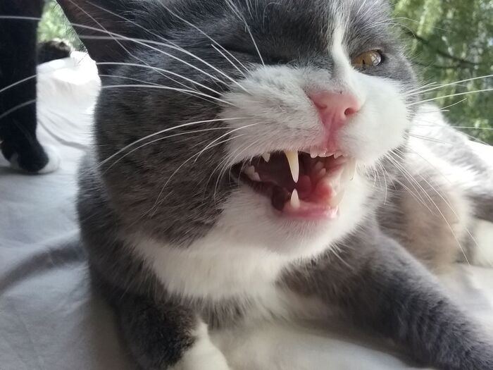    ( ,  ,   ,  