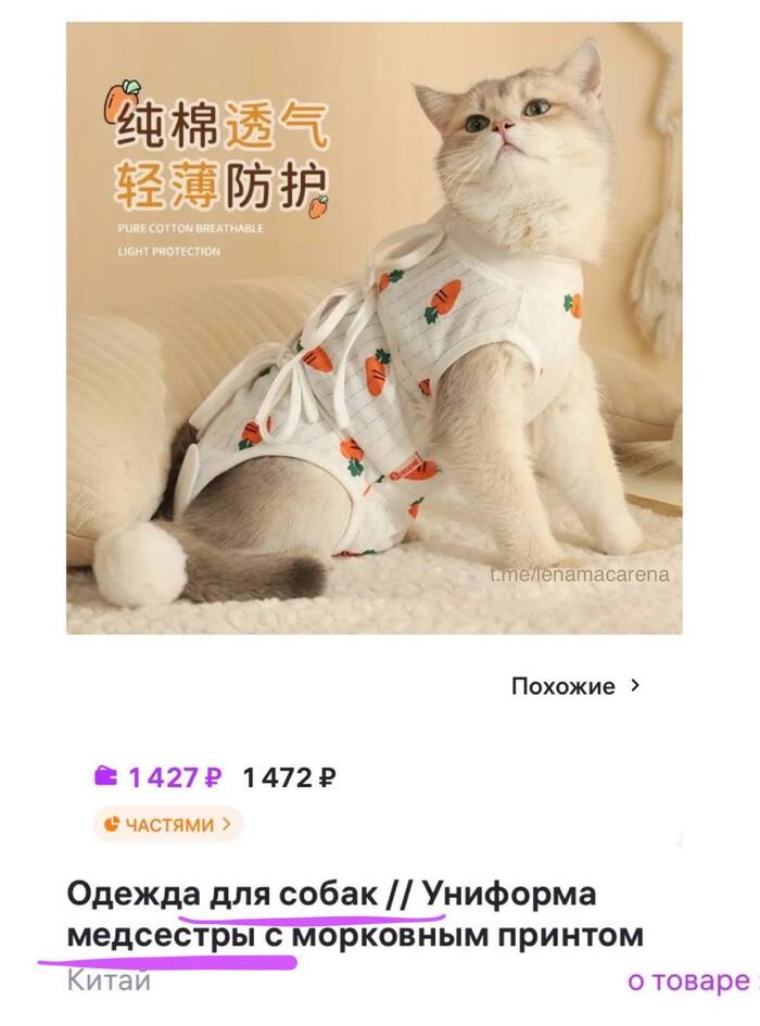   ,   , , , , , ,  
