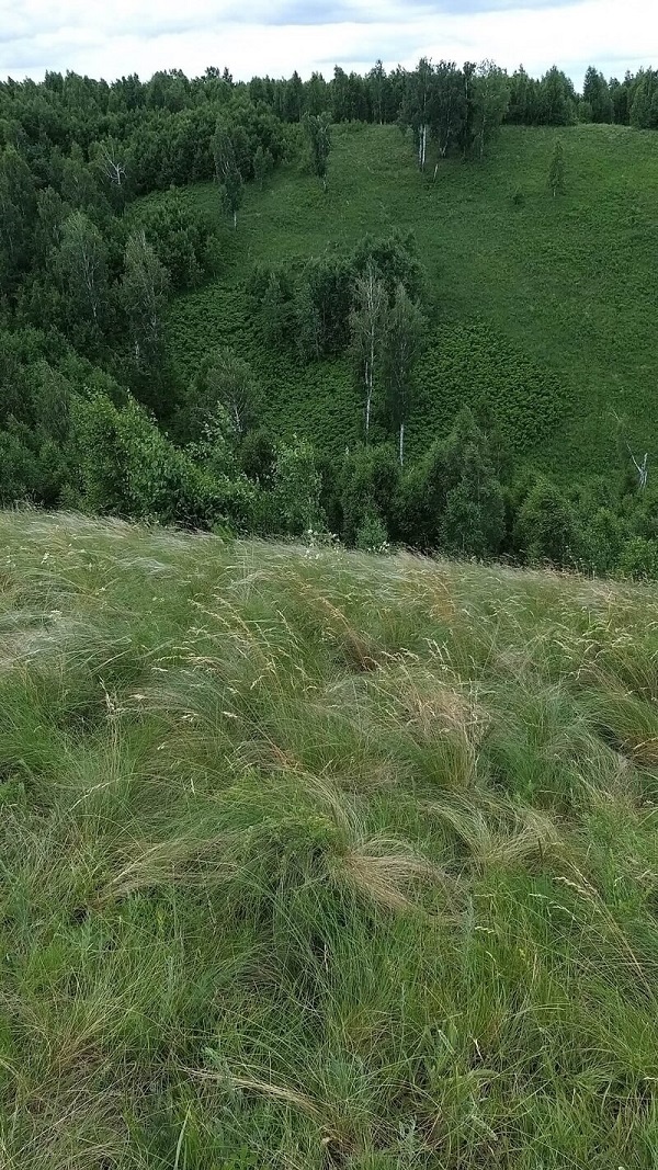 ������� ������. ����:������ ��������&nbsp;