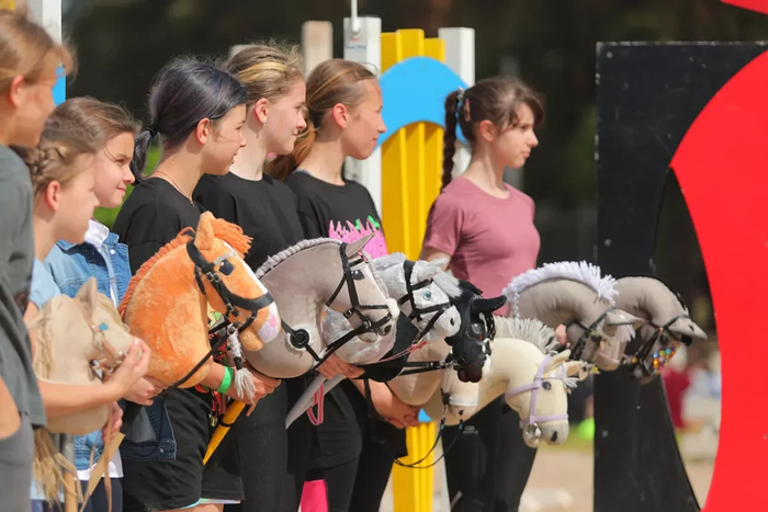 Красивая нарядная коне-палка называется хорсом