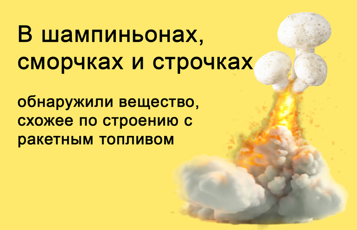  ,       , , ,  , , , , , , , ,  , , ,  , , , , ,   