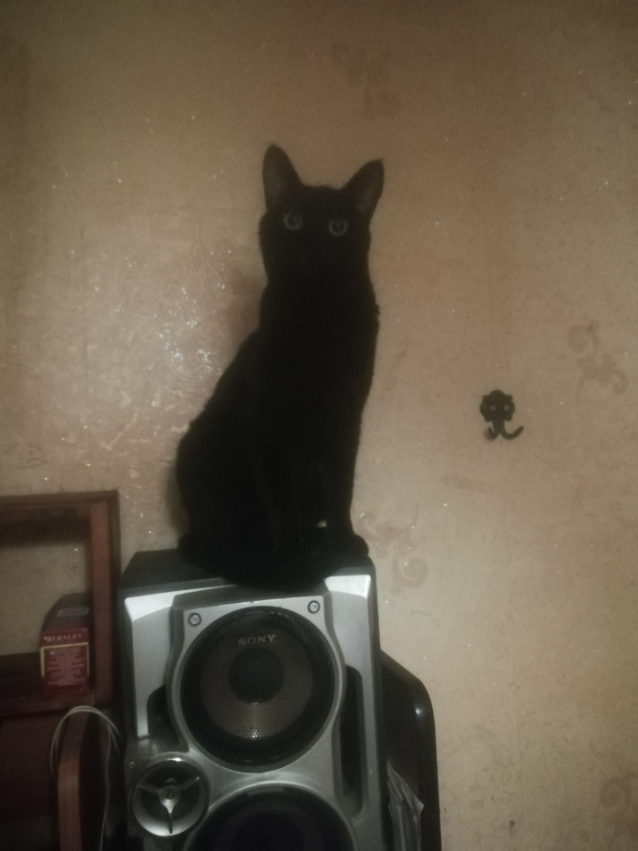  , ,   