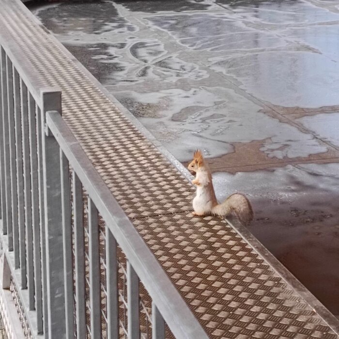 �� ��������� � �����. �������� ������ ��� ����� ������ � ���� ���������� ����