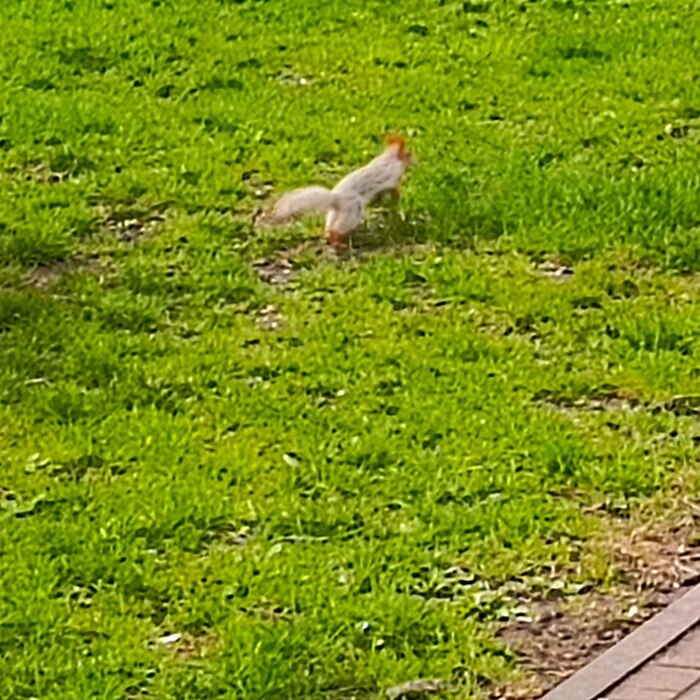 ����� ����� �� ������ �����