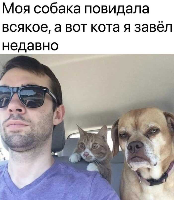 , ,      ?  ,           ,  ? , ,    ,   , ,  , , , 