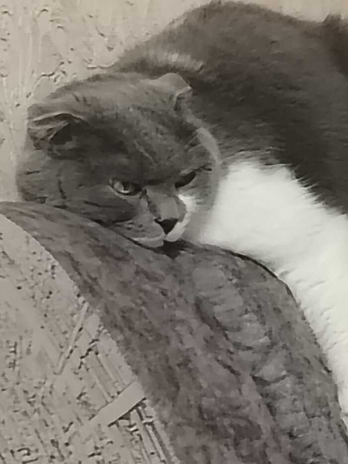      ,   , , , , ,   , 