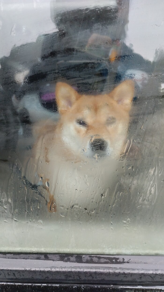    , , -, 