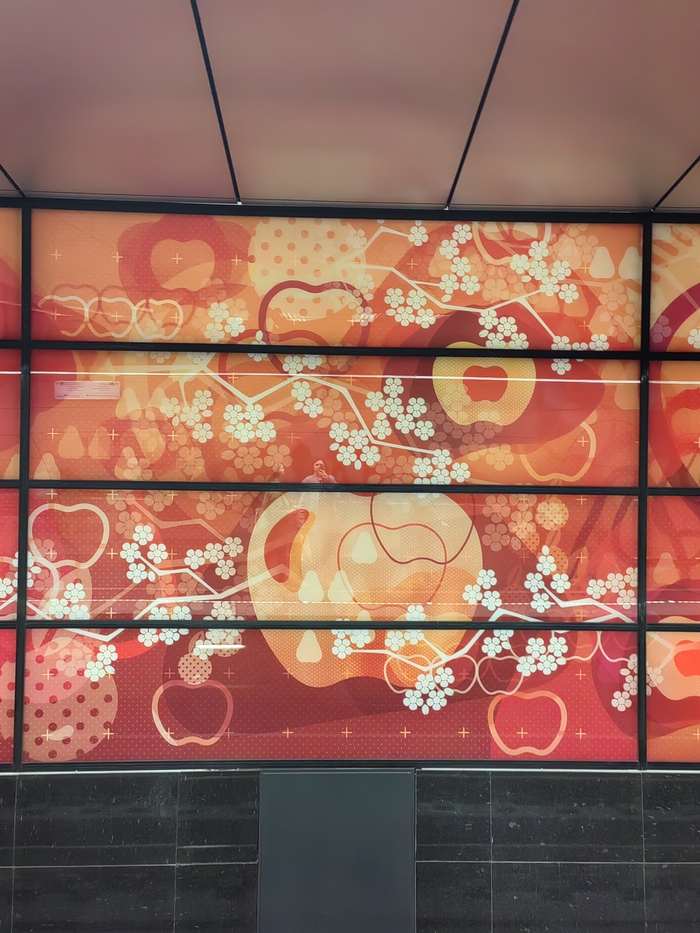 ������� ����� "����������� ��������" 