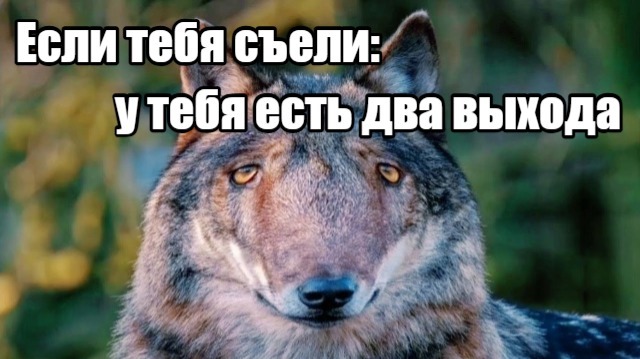 Мемопятница