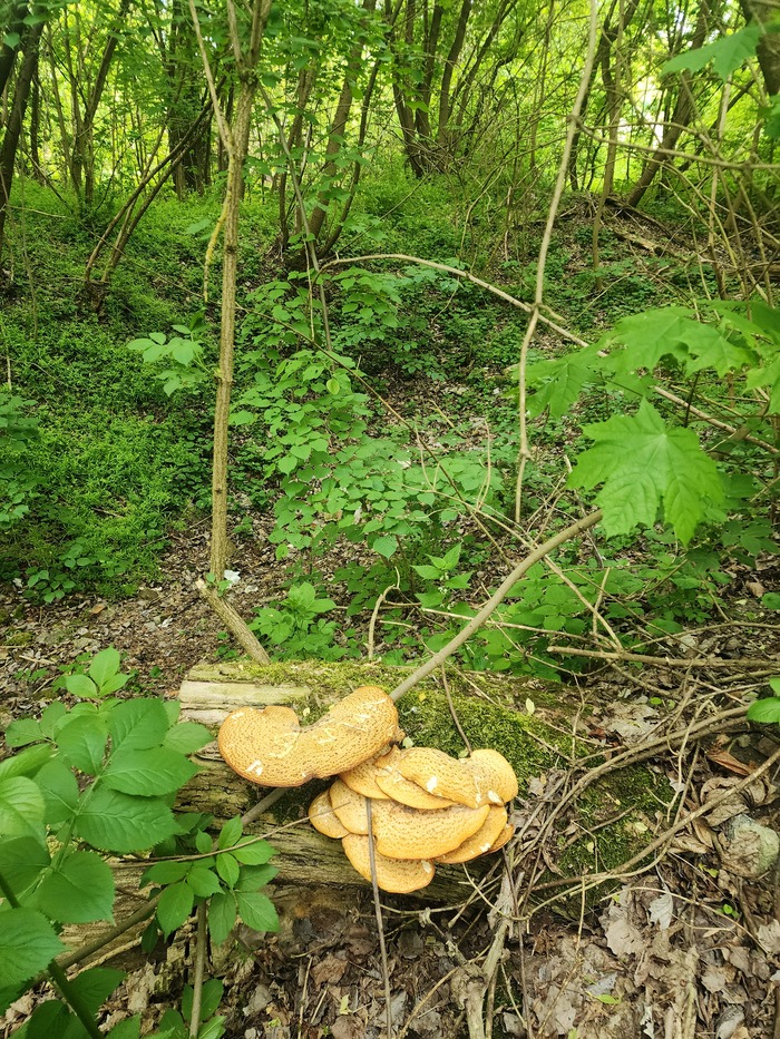   , , , , 