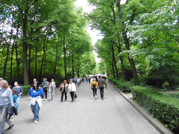 ,      (    &#x1F609;)