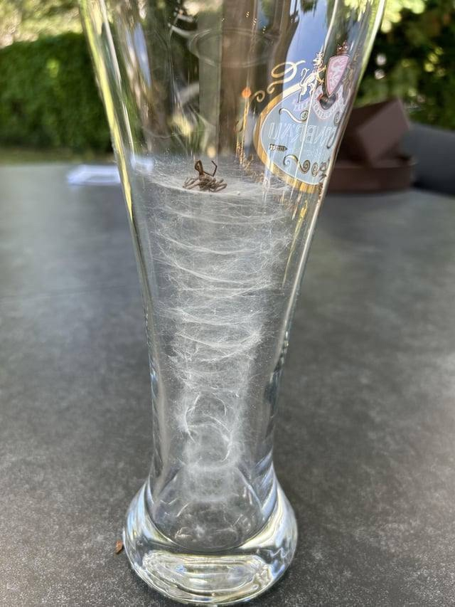 Самый короткий и грустный рассказ Хемингуэя: