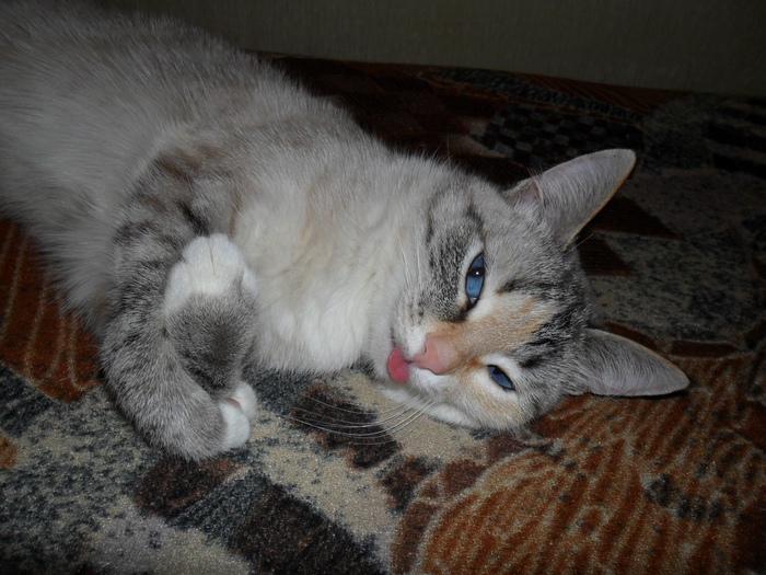    ))) , ,  ,  , 