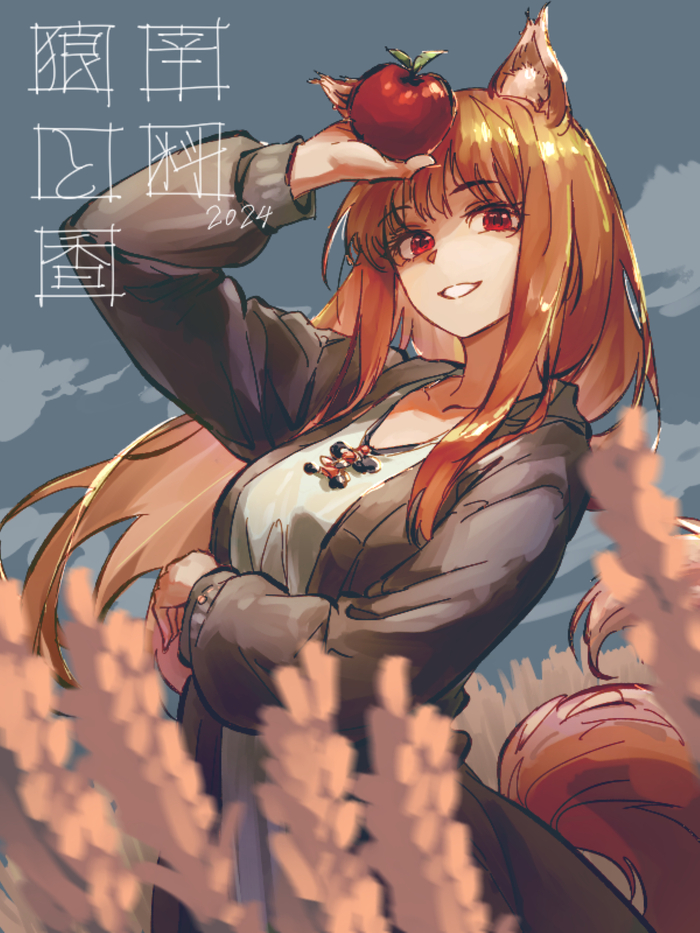  Anime Art, , Holo, Spice and Wolf, Animal Ears