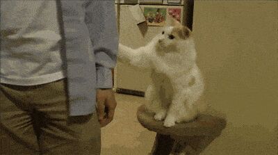   , , , 
