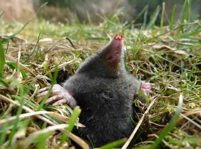    !   ,        ...    .