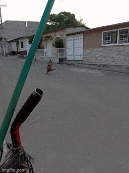   , , , 