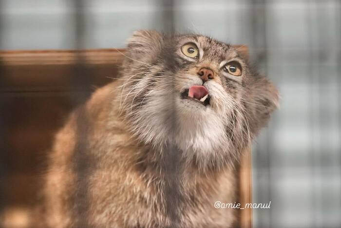 - Ну что тянешь? Жрат давай