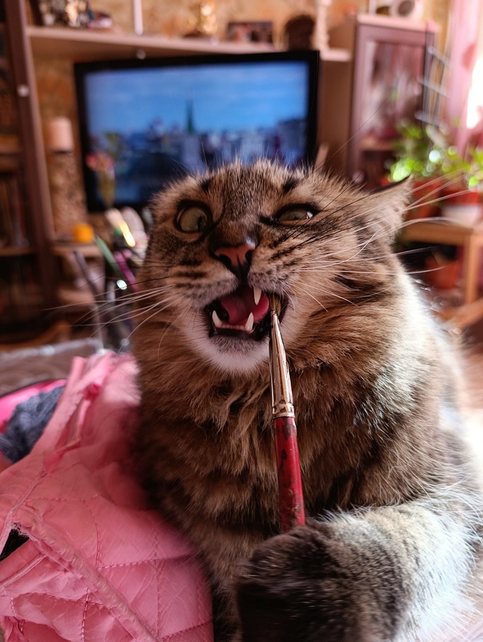   ,  , , , 