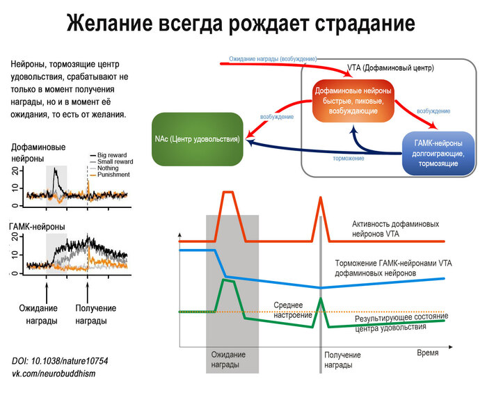  iPoher    ,  2024     73%    .     ?  (),  ( ), ,   , , , ,  , ,  