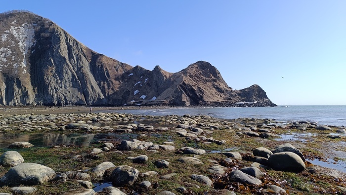  .   ,       .      1880  1883 .